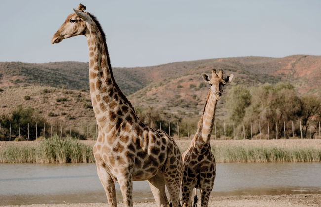 Chandelier Game Lodge - Foto 1