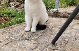 Apartman MARIJETA - Foto 2