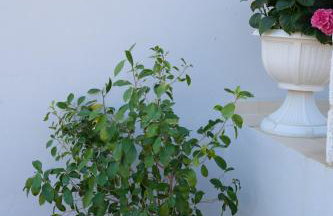 La Familia Luxury Private Maisonettes near the sea - Foto 25