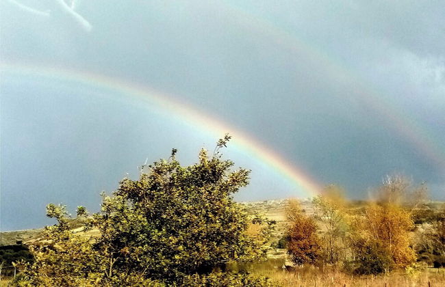 Sardinian Villa Enjoy Stintino With Your Pets ! - Photo 19