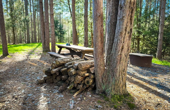 Boyer's Pond Campground - Foto 24