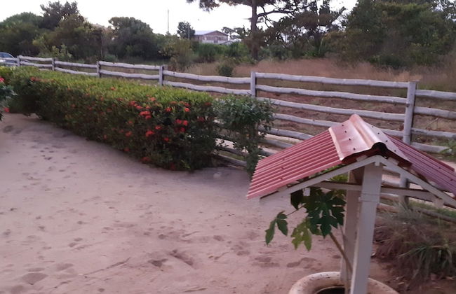 Palma d'Oro Oasis - Foto 6