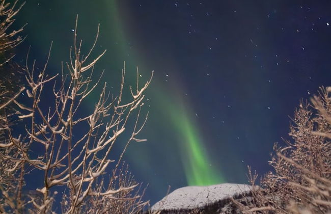 Elvestua House in Nature - Foto 34