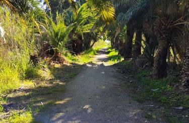 Oasi Marina - Foto 25