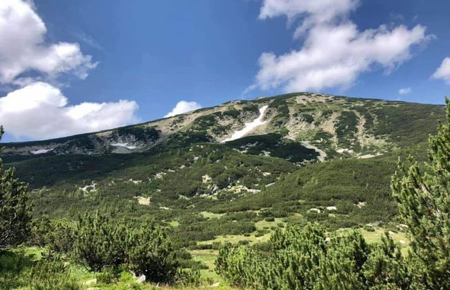 Apartment Belvedere 43 - Photo 23