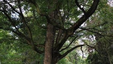 Mieszkanie w Oficynie Pałacu Goetza BRZESKO - Foto 5