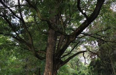 Mieszkanie w Oficynie Pałacu Goetza BRZESKO - Photo 5