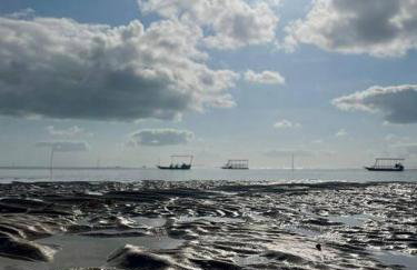 Mani Milagres Studio - Gamboa Patacho - Foto 39