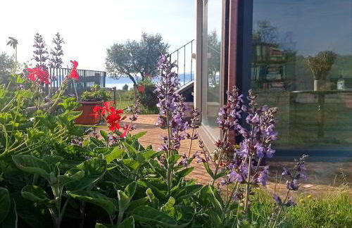 Agriturismo PIAN DEL GRANO Azienda agricola - Foto 44