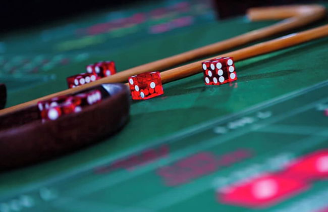 Champion Ranch - Foto 31