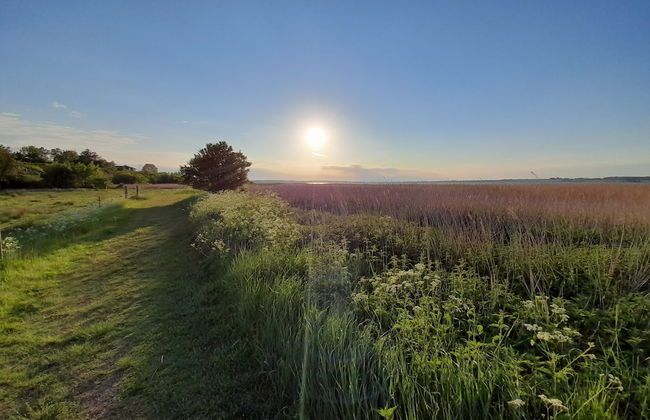 The Comfort of This Cottage Merges With Nature - Photo 14