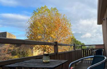 Gite Lomegaja 6pers proche Lascaux et Sarlat - Foto 14