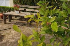 Jasmine Home, Aegina City - Foto 22