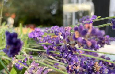 Między Brzozami - Foto 15