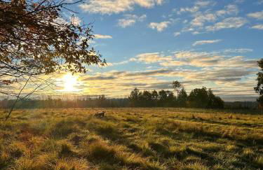 Rutland Hill Farmhouse - Foto 44