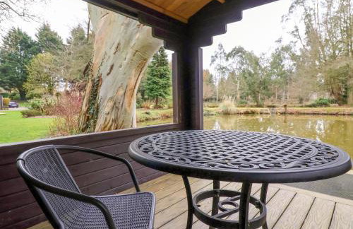 Woodpeckers - Photo 23