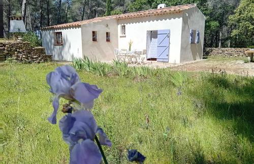 La maison du rouquet - Foto 6