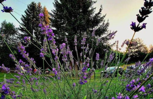 Apartments & rooms Velebit - Foto 31