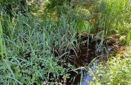 Mojos Bodenseetraum - Photo 24