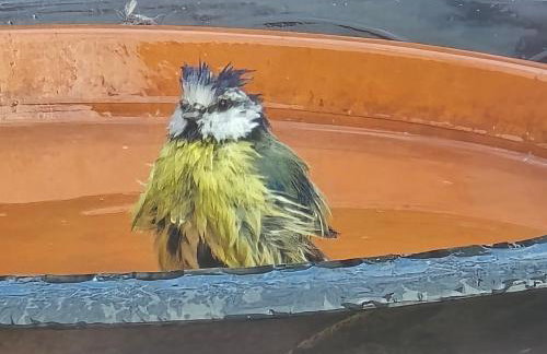 Exklusive Ferienwohnung Bad Salzschlirf - direkt am Waldrand - großer Garten kompett umzäunt - Hunde willkommen - 2 private Stellplätze - Foto 66