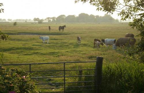 Margarethenhof - Foto 7