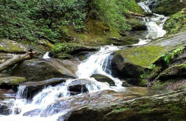 Treetops Cabin easy to Asheville with fast wifi and great view - Foto 37