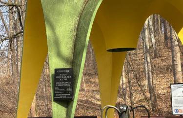 Wiśniowy Sad - Foto 74