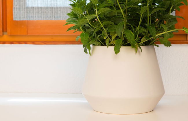 Saint John Villa Apartments - Foto 6