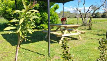 Appartamento Rosa Bianca A Vada - Foto 4