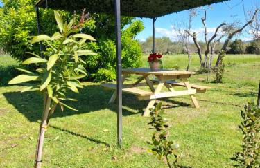 Appartamento Rosa Bianca A Vada - Foto 4