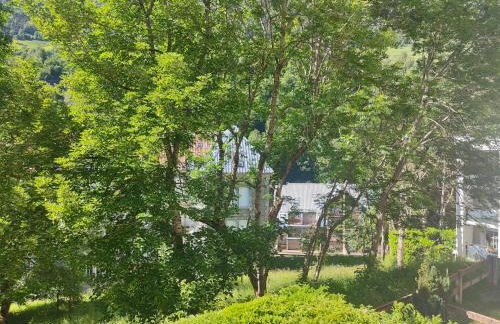 Petit coin de paradis en plein centre de Barèges - Foto 12