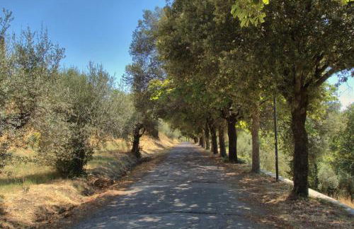 Casa Sofia nel Castello - Foto 27