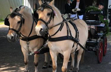 Ferienwohnung 3 - Foto 9