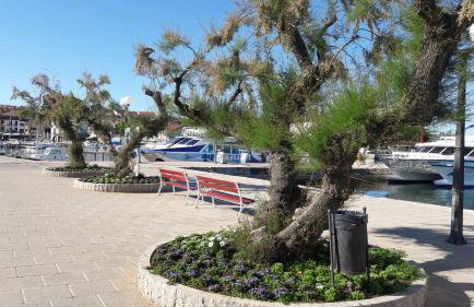 Apartmani Niessner - Foto 20