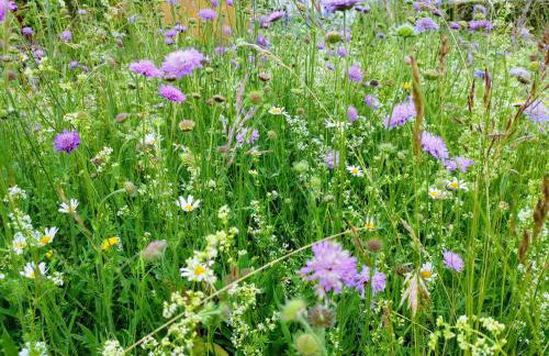 Gemütliches Blockhaus am Wald mit großem Garten - Foto 25