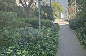 Appartement T2 proche des calanques Sormiou et Morgiou - Foto 17