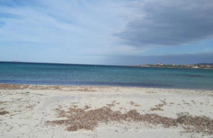 casa oleandri - Foto 14