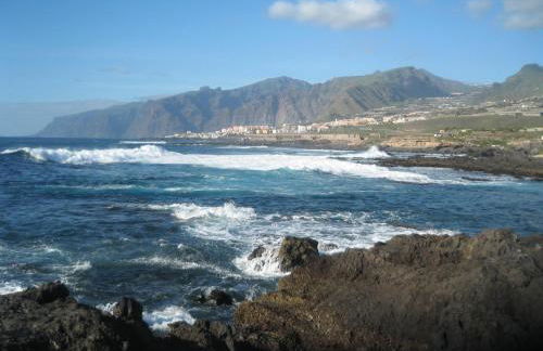 Casa Alcala - Photo 74