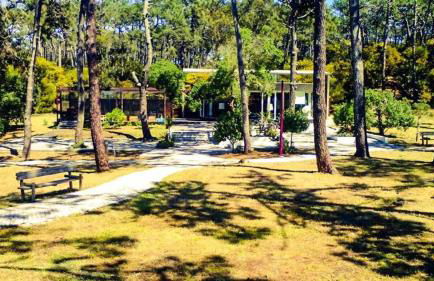 Golden Stone Beach Retreat - Foto 30