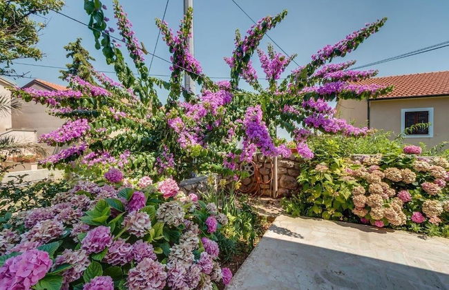 Apartment Bugenvilia - Foto 12