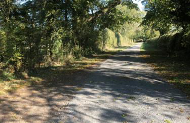 Bolton's Cottage - Foto 15