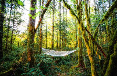 Pacific Bin - Hot Tub, Secluded Forest Getaway - Foto 31