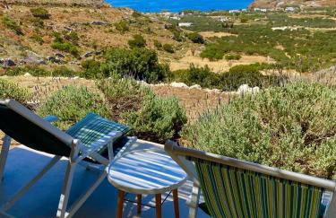 Villa Handras-Ulivo & Mandorlo, by Amorgos Holiday Homes - Foto 1