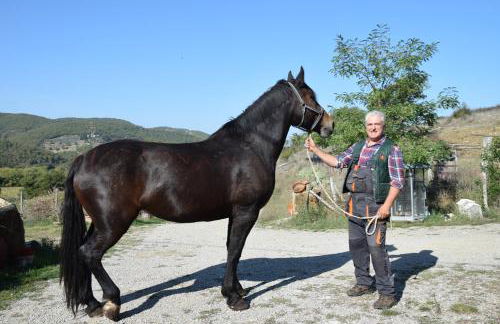 Agriturismo Podere Tegline - Foto 20