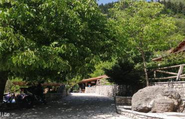 Petrina Theohari - Foto 26