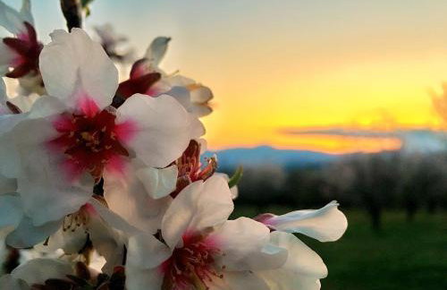 Villa Rustica - Photo 29