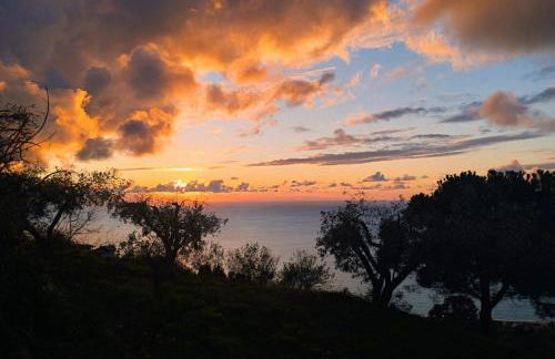 Casa Morello - Foto 8