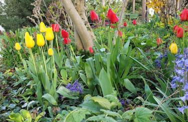 Appartement neuf, Rez de jardin, 30m2 lumineux - Foto 6