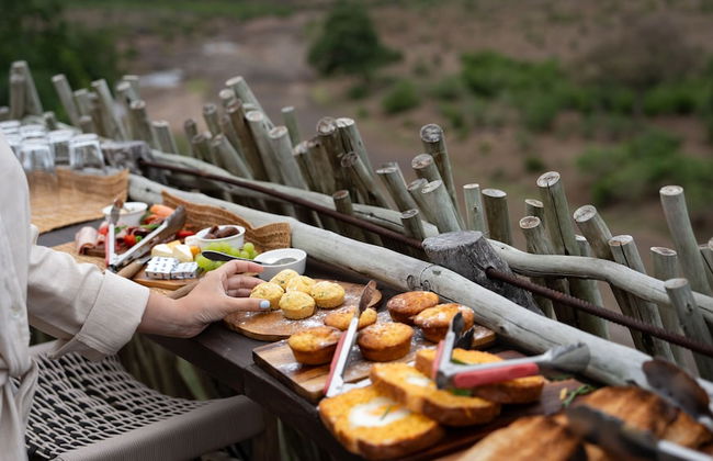 Euphorbia Mashatu - Foto 29