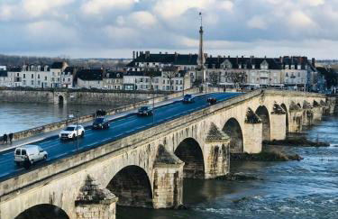 Blois, vue panoramique Loire - Photo 17